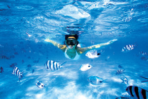 境內各家旅館都會有設置潛水教練教學，就算不諳水性也照樣能自在享受水上活動的樂趣。 