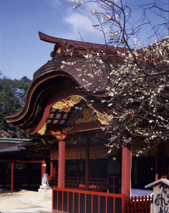 侍奉學問之神的太宰府天滿宮，有日本孔廟之稱，雄獅旅遊提供。 